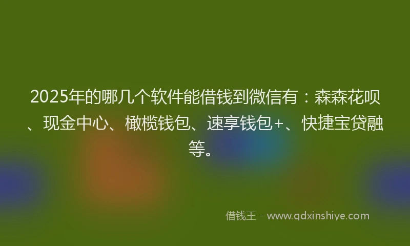 2025年的哪几个软件能借钱到微信有：森森花呗、现金中心、橄榄钱包、速享钱包+、快捷宝贷融等。