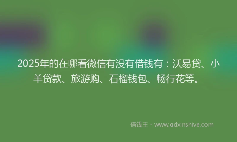 2025年的在哪看微信有没有借钱有：沃易贷、小羊贷款、旅游购、石榴钱包、畅行花等。