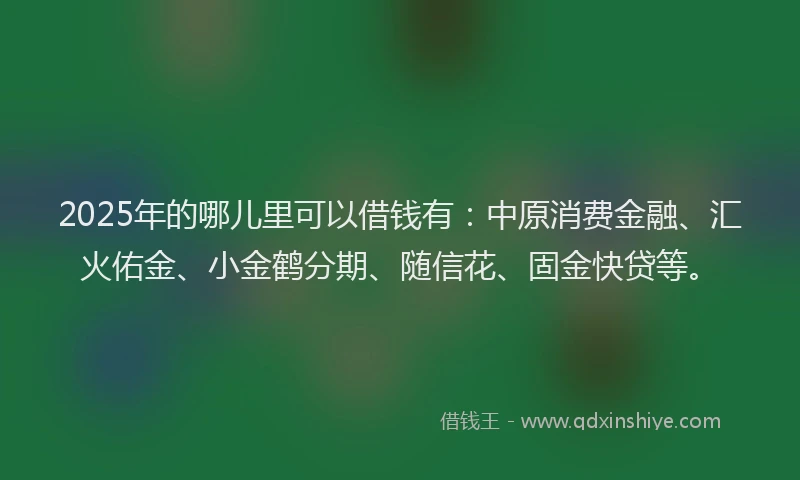 2025年的哪儿里可以借钱有：中原消费金融、汇火佑金、小金鹤分期、随信花、固金快贷等。
