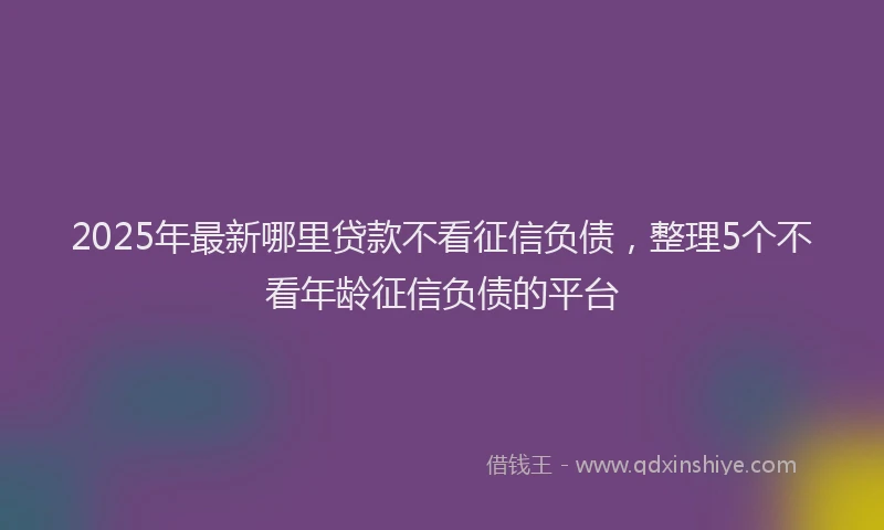 2025年最新哪里贷款不看征信负债，整理5个不看年龄征信负债的平台