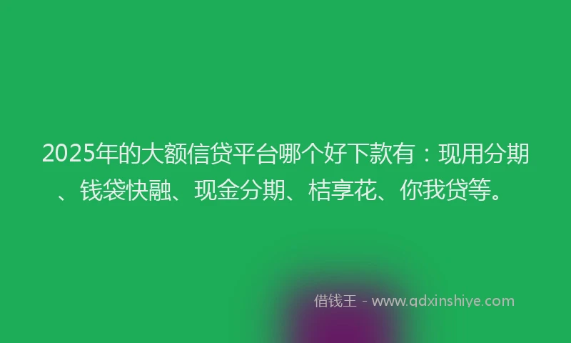 2025年的大额信贷平台哪个好下款有：现用分期、钱袋快融、现金分期、桔享花、你我贷等。