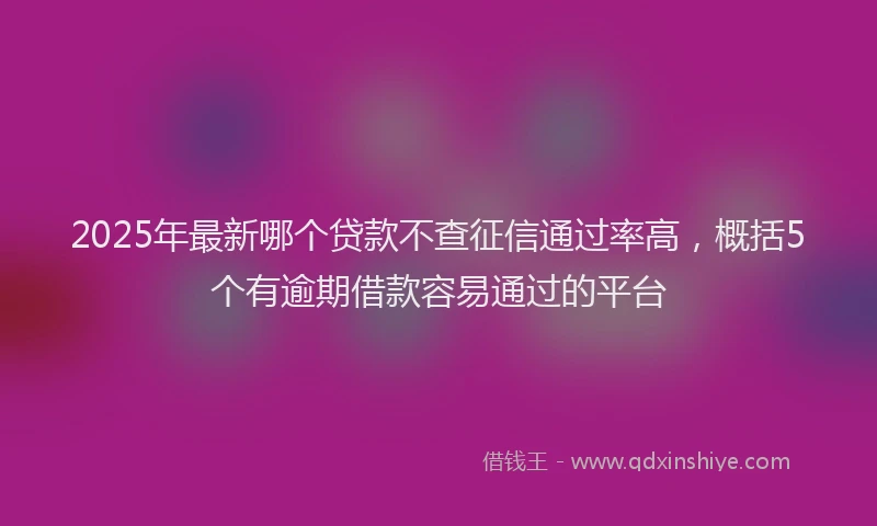 2025年最新哪个贷款不查征信通过率高，概括5个有逾期借款容易通过的平台