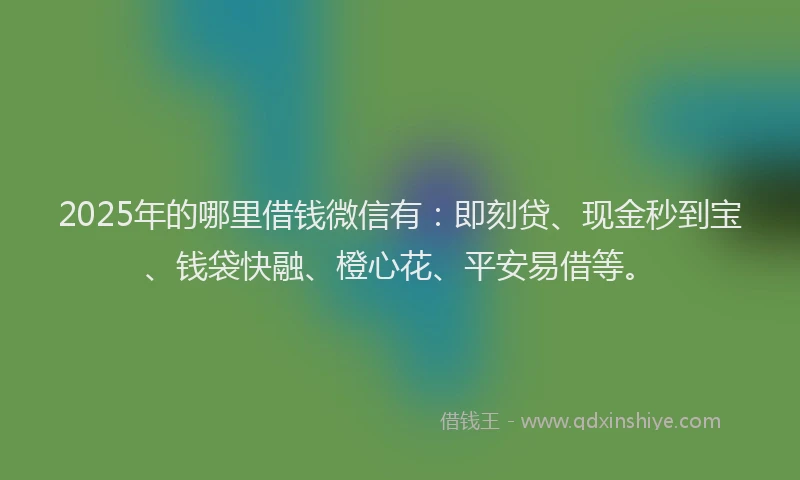 2025年的哪里借钱微信有：即刻贷、现金秒到宝、钱袋快融、橙心花、平安易借等。