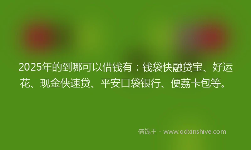 2025年的到哪可以借钱有：钱袋快融贷宝、好运花、现金侠速贷、平安口袋银行、便荔卡包等。