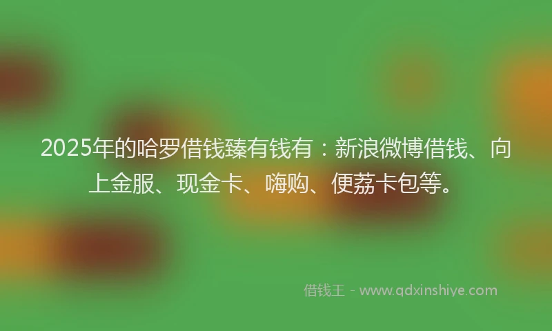 2025年的哈罗借钱臻有钱有：新浪微博借钱、向上金服、现金卡、嗨购、便荔卡包等。
