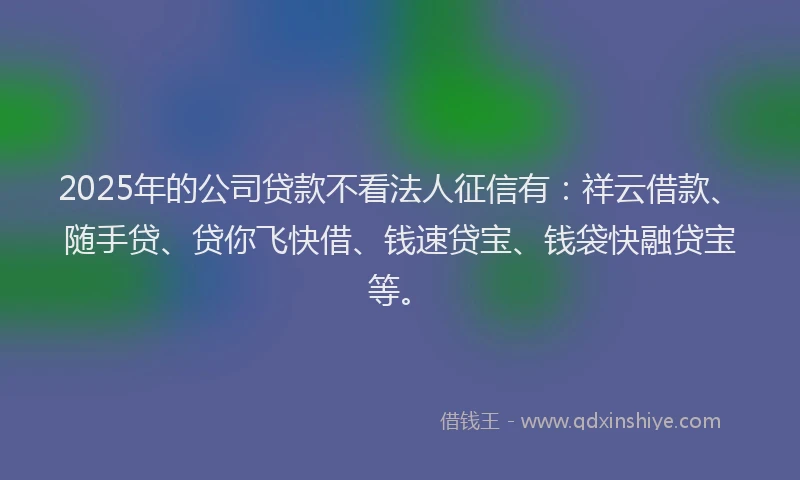 2025年的公司贷款不看法人征信有：祥云借款、随手贷、贷你飞快借、钱速贷宝、钱袋快融贷宝等。