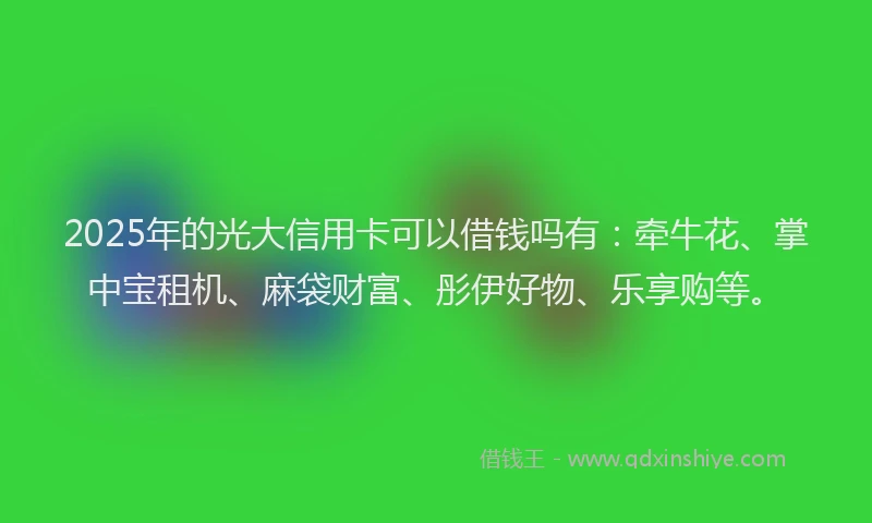 2025年的光大信用卡可以借钱吗有：牵牛花、掌中宝租机、麻袋财富、彤伊好物、乐享购等。