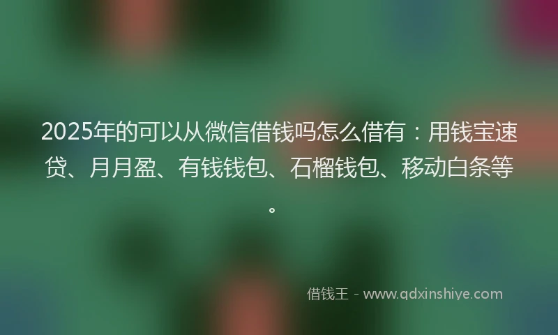 2025年的可以从微信借钱吗怎么借有：用钱宝速贷、月月盈、有钱钱包、石榴钱包、移动白条等。