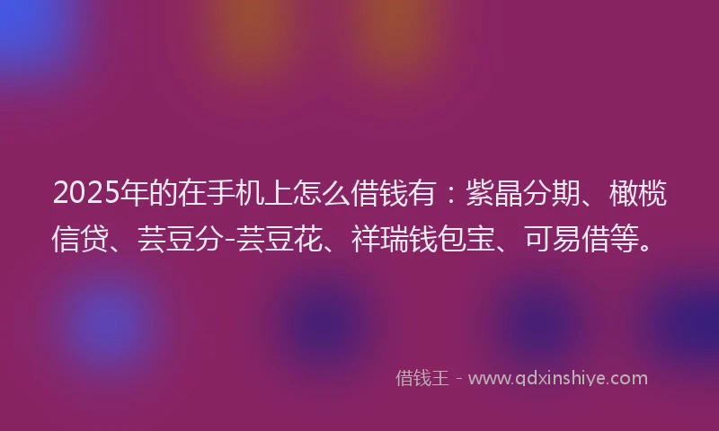 2025年的在手机上怎么借钱有：紫晶分期、橄榄信贷、芸豆分-芸豆花、祥瑞钱包宝、可易借等。