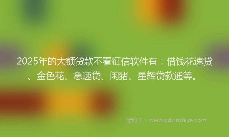 2025年的大额贷款不看征信软件有：借钱花速贷、金色花、急速贷、闲猪、星辉贷款通等。