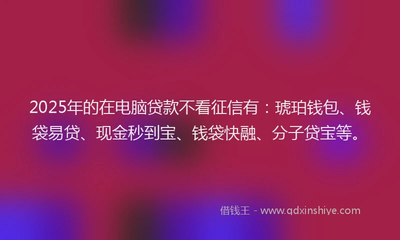 2025年的在电脑贷款不看征信有：琥珀钱包、钱袋易贷、现金秒到宝、钱袋快融、分子贷宝等。