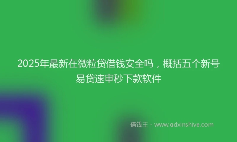2025年最新在微粒贷借钱安全吗，概括五个新号易贷速审秒下款软件