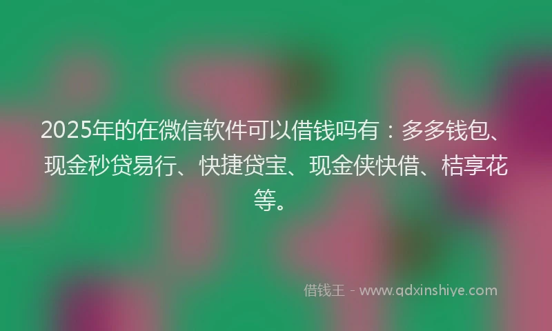 2025年的在微信软件可以借钱吗有：多多钱包、现金秒贷易行、快捷贷宝、现金侠快借、桔享花等。