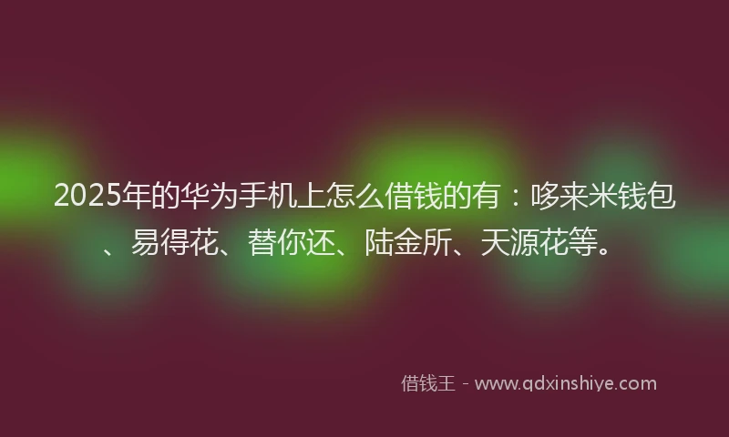 2025年的华为手机上怎么借钱的有：哆来米钱包、易得花、替你还、陆金所、天源花等。