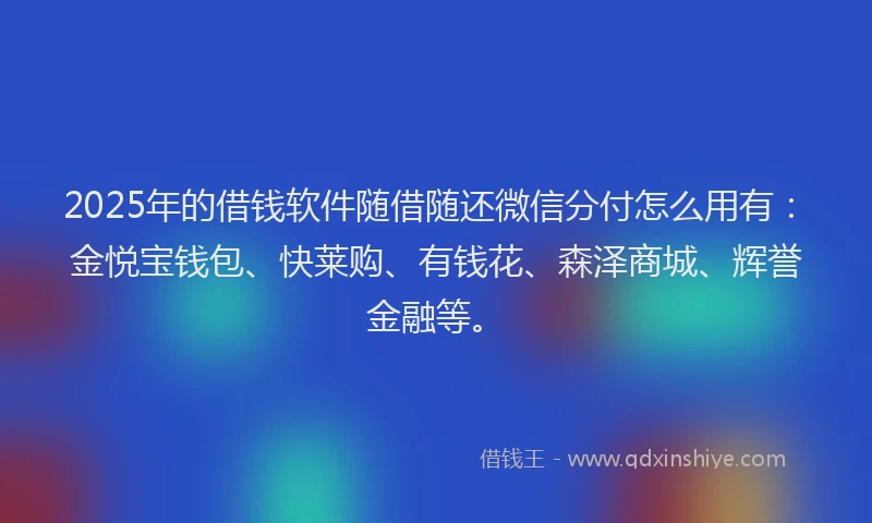2025年的借钱软件随借随还微信分付怎么用有：金悦宝钱包、快莱购、有钱花、森泽商城、辉誉金融等。