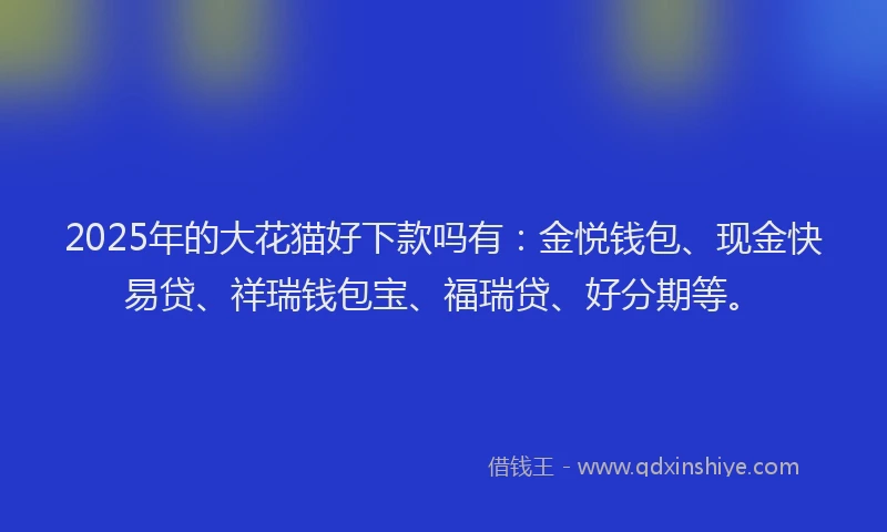 2025年的大花猫好下款吗有：金悦钱包、现金快易贷、祥瑞钱包宝、福瑞贷、好分期等。
