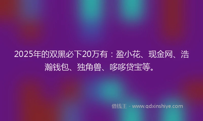 2025年的双黑必下20万有：盈小花、现金网、浩瀚钱包、独角兽、哆哆贷宝等。