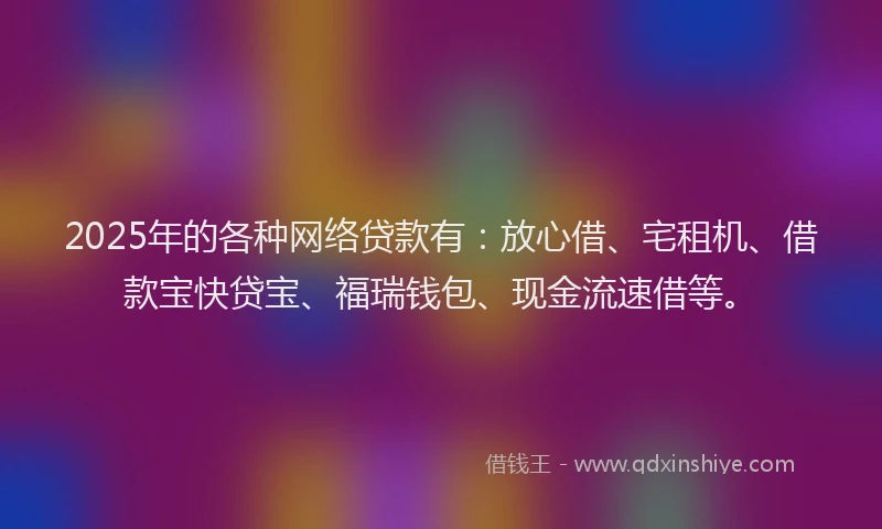 2025年的各种网络贷款有：放心借、宅租机、借款宝快贷宝、福瑞钱包、现金流速借等。