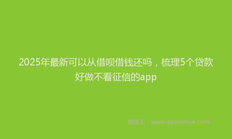 2025年最新可以从借呗借钱还吗，梳理5个贷款好做不看征信的app