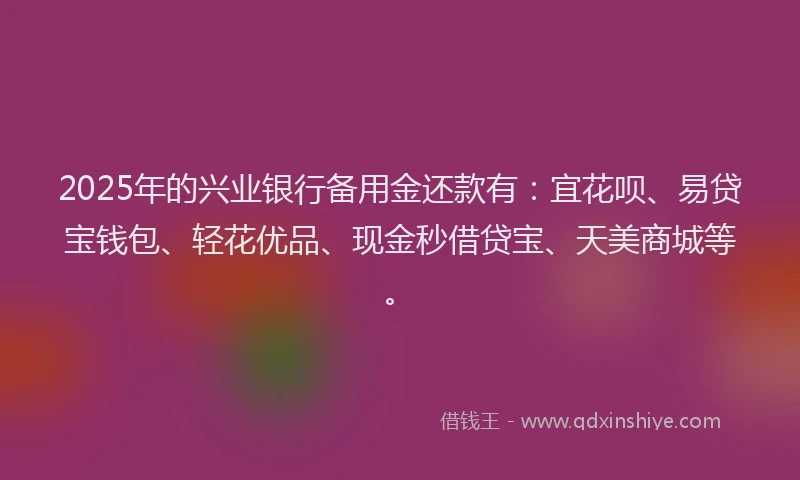 2025年的兴业银行备用金还款有：宜花呗、易贷宝钱包、轻花优品、现金秒借贷宝、天美商城等。