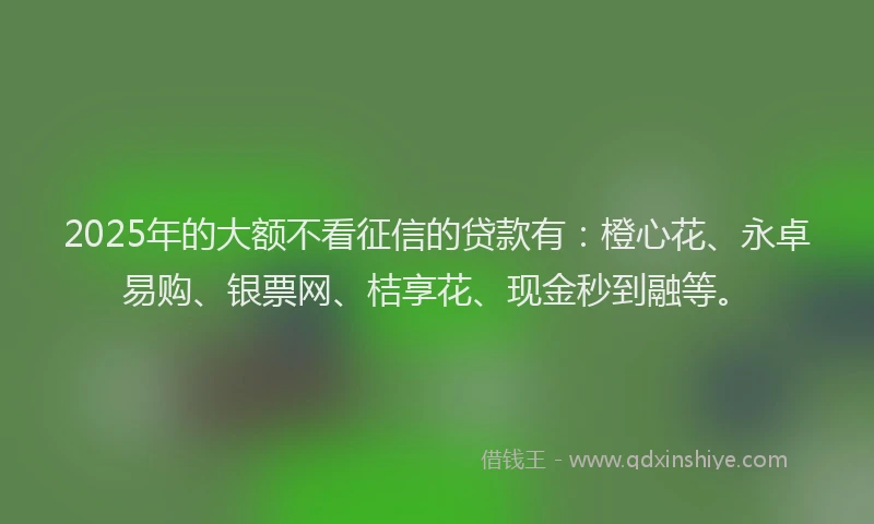 2025年的大额不看征信的贷款有：橙心花、永卓易购、银票网、桔享花、现金秒到融等。