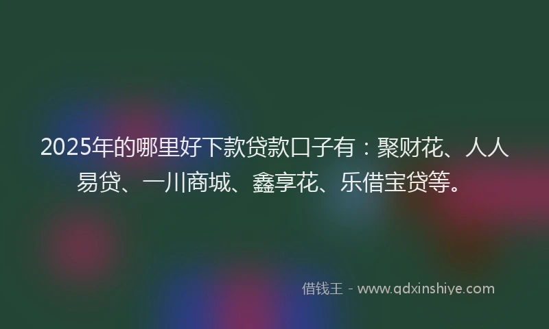 2025年的哪里好下款贷款口子有：聚财花、人人易贷、一川商城、鑫享花、乐借宝贷等。
