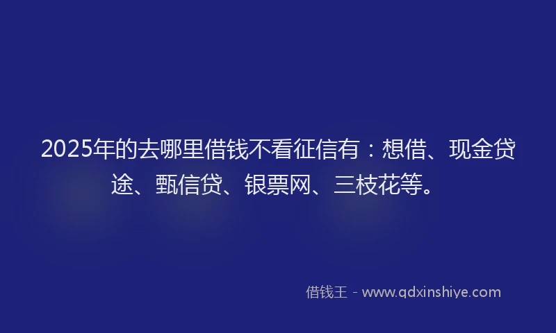2025年的去哪里借钱不看征信有：想借、现金贷途、甄信贷、银票网、三枝花等。
