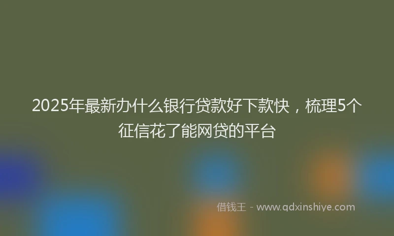 2025年最新办什么银行贷款好下款快，梳理5个征信花了能网贷的平台
