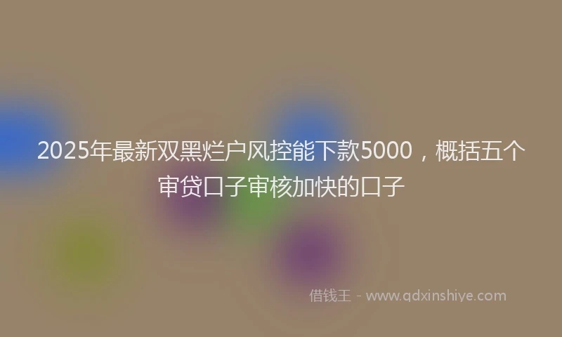 2025年最新双黑烂户风控能下款5000，概括五个审贷口子审核加快的口子