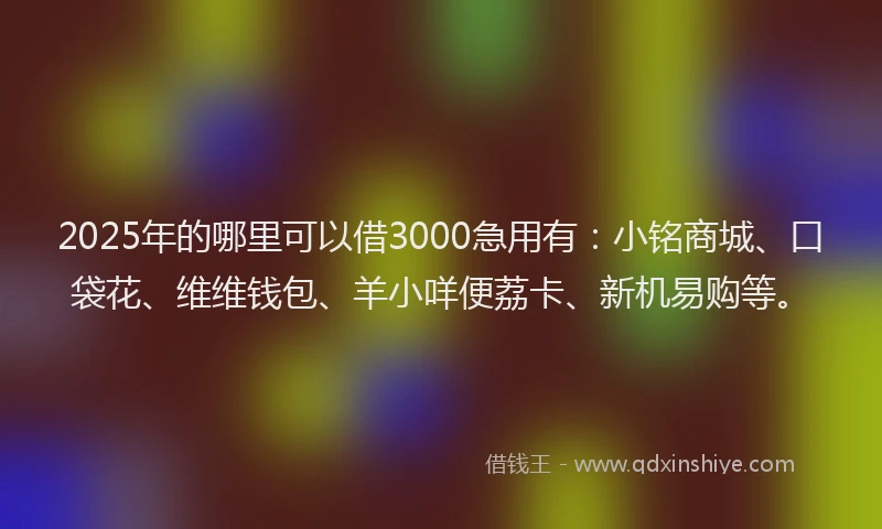 2025年的哪里可以借3000急用有：小铭商城、口袋花、维维钱包、羊小咩便荔卡、新机易购等。
