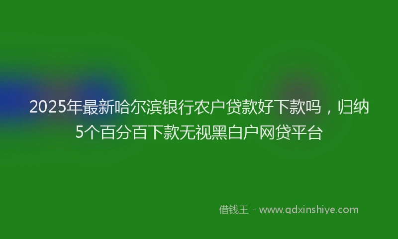 2025年最新哈尔滨银行农户贷款好下款吗，归纳5个百分百下款无视黑白户网贷平台
