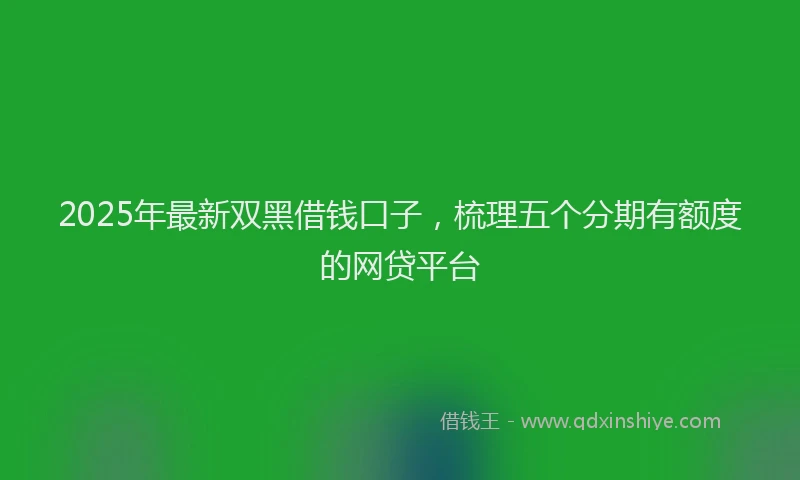2025年最新双黑借钱口子，梳理五个分期有额度的网贷平台