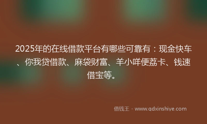 2025年的在线借款平台有哪些可靠有：现金快车、你我贷借款、麻袋财富、羊小咩便荔卡、钱速借宝等。