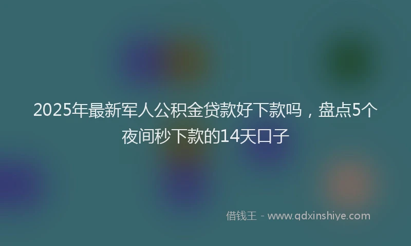 2025年最新军人公积金贷款好下款吗，盘点5个夜间秒下款的14天口子