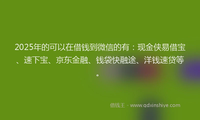2025年的可以在借钱到微信的有：现金侠易借宝、速下宝、京东金融、钱袋快融途、洋钱速贷等。