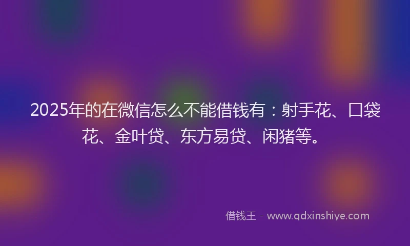 2025年的在微信怎么不能借钱有：射手花、口袋花、金叶贷、东方易贷、闲猪等。