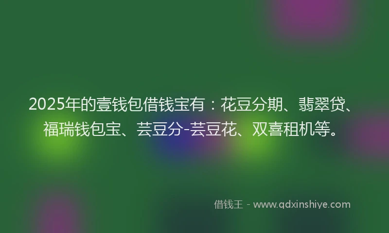 2025年的壹钱包借钱宝有：花豆分期、翡翠贷、福瑞钱包宝、芸豆分-芸豆花、双喜租机等。