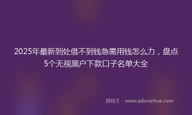 2025年最新到处借不到钱急需用钱怎么力，盘点5个无视黑户下款口子名单大全
