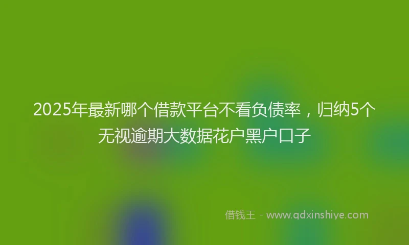 2025年最新哪个借款平台不看负债率，归纳5个无视逾期大数据花户黑户口子