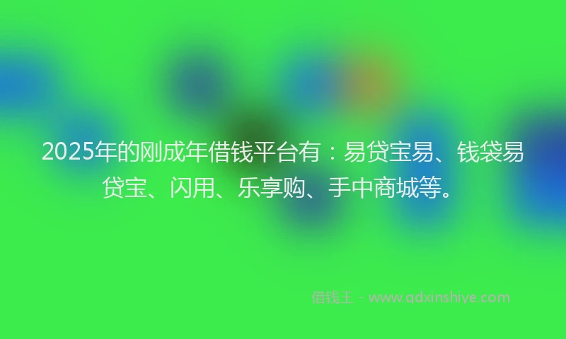 2025年的刚成年借钱平台有：易贷宝易、钱袋易贷宝、闪用、乐享购、手中商城等。