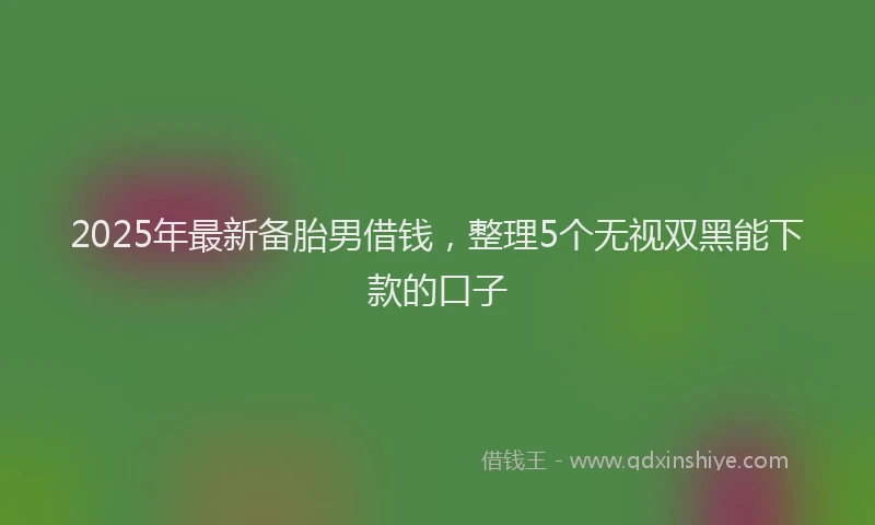 2025年最新备胎男借钱，整理5个无视双黑能下款的口子