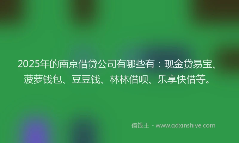 2025年的南京借贷公司有哪些有：现金贷易宝、菠萝钱包、豆豆钱、林林借呗、乐享快借等。