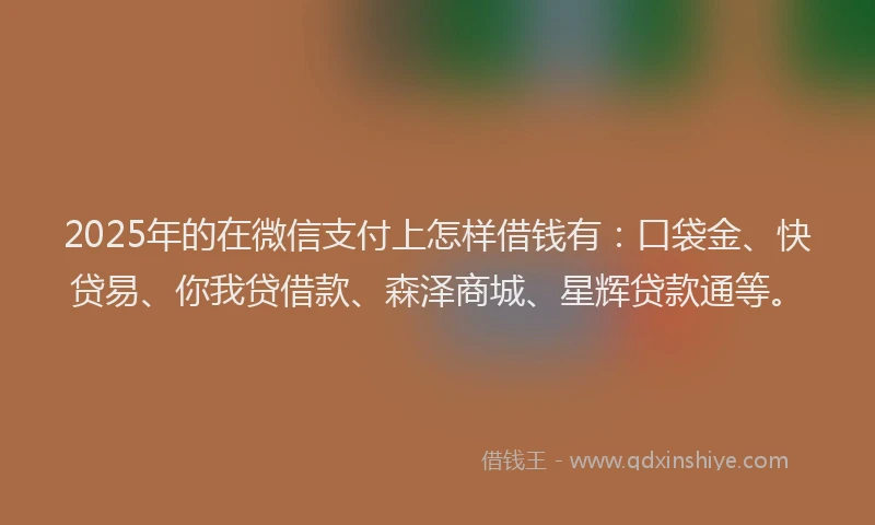 2025年的在微信支付上怎样借钱有：口袋金、快贷易、你我贷借款、森泽商城、星辉贷款通等。