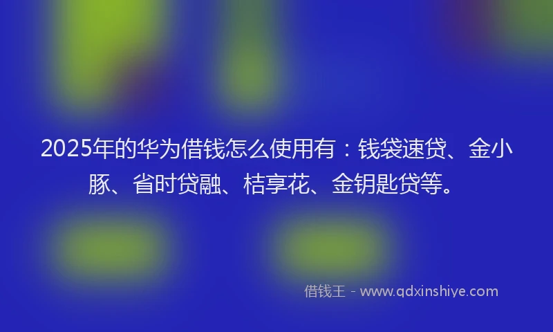2025年的华为借钱怎么使用有：钱袋速贷、金小豚、省时贷融、桔享花、金钥匙贷等。