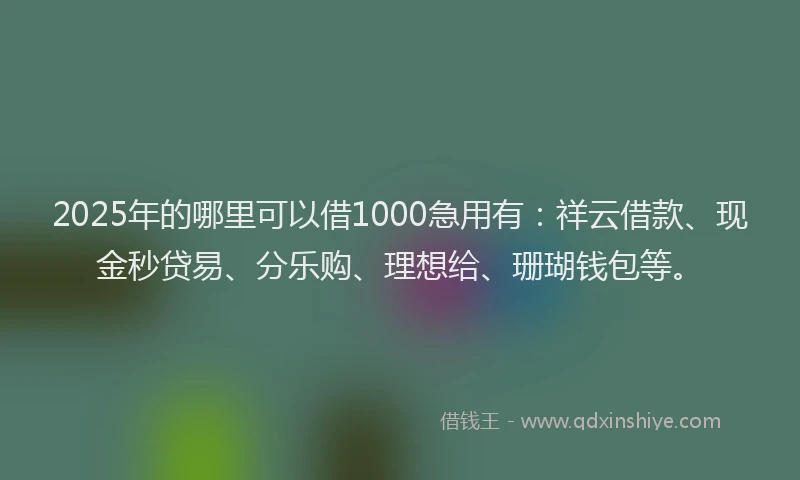 2025年的哪里可以借1000急用有：祥云借款、现金秒贷易、分乐购、理想给、珊瑚钱包等。