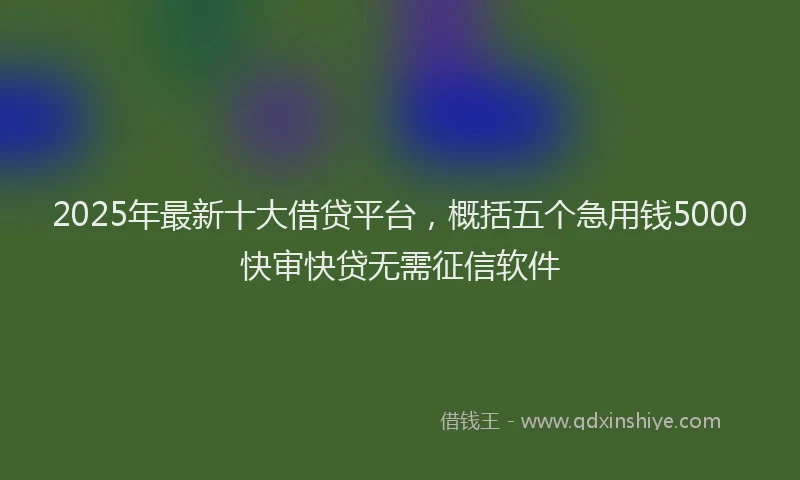 2025年最新十大借贷平台，概括五个急用钱5000快审快贷无需征信软件