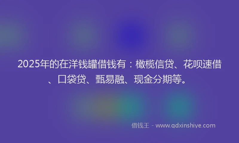 2025年的在洋钱罐借钱有：橄榄信贷、花呗速借、口袋贷、甄易融、现金分期等。