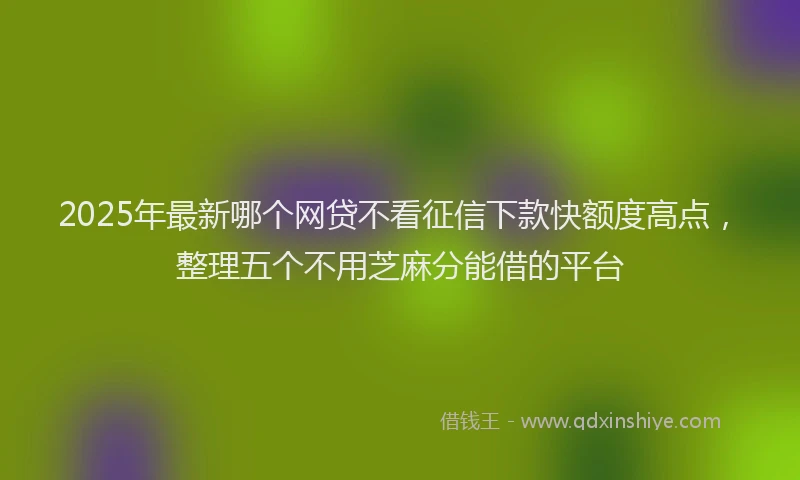2025年最新哪个网贷不看征信下款快额度高点，整理五个不用芝麻分能借的平台