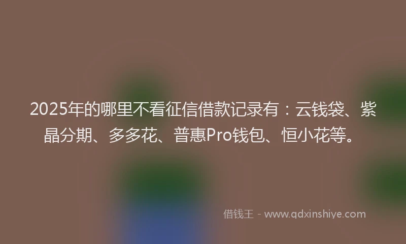 2025年的哪里不看征信借款记录有：云钱袋、紫晶分期、多多花、普惠Pro钱包、恒小花等。