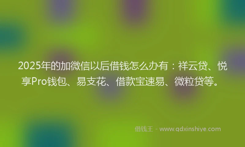 2025年的加微信以后借钱怎么办有：祥云贷、悦享Pro钱包、易支花、借款宝速易、微粒贷等。